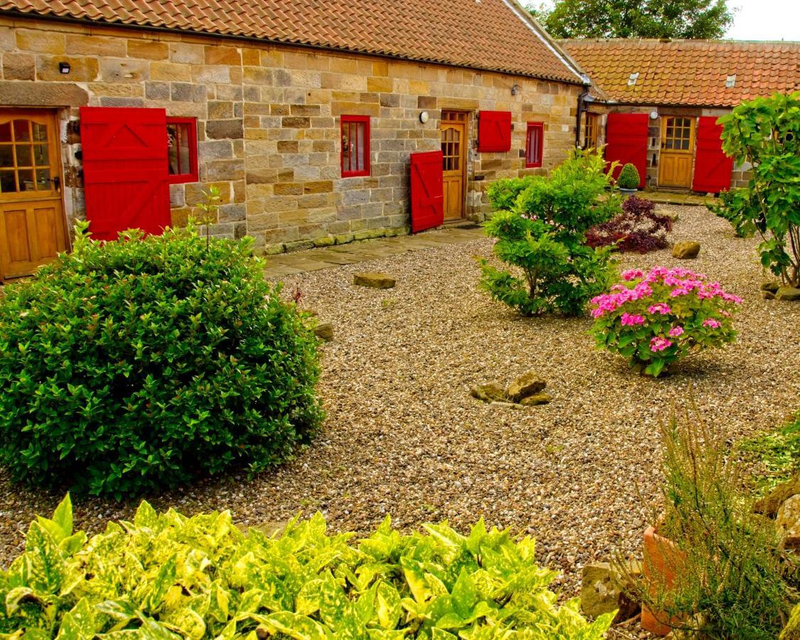 Spangle Cottage, Borrowby Farm Cottages Staithes Luaran gambar