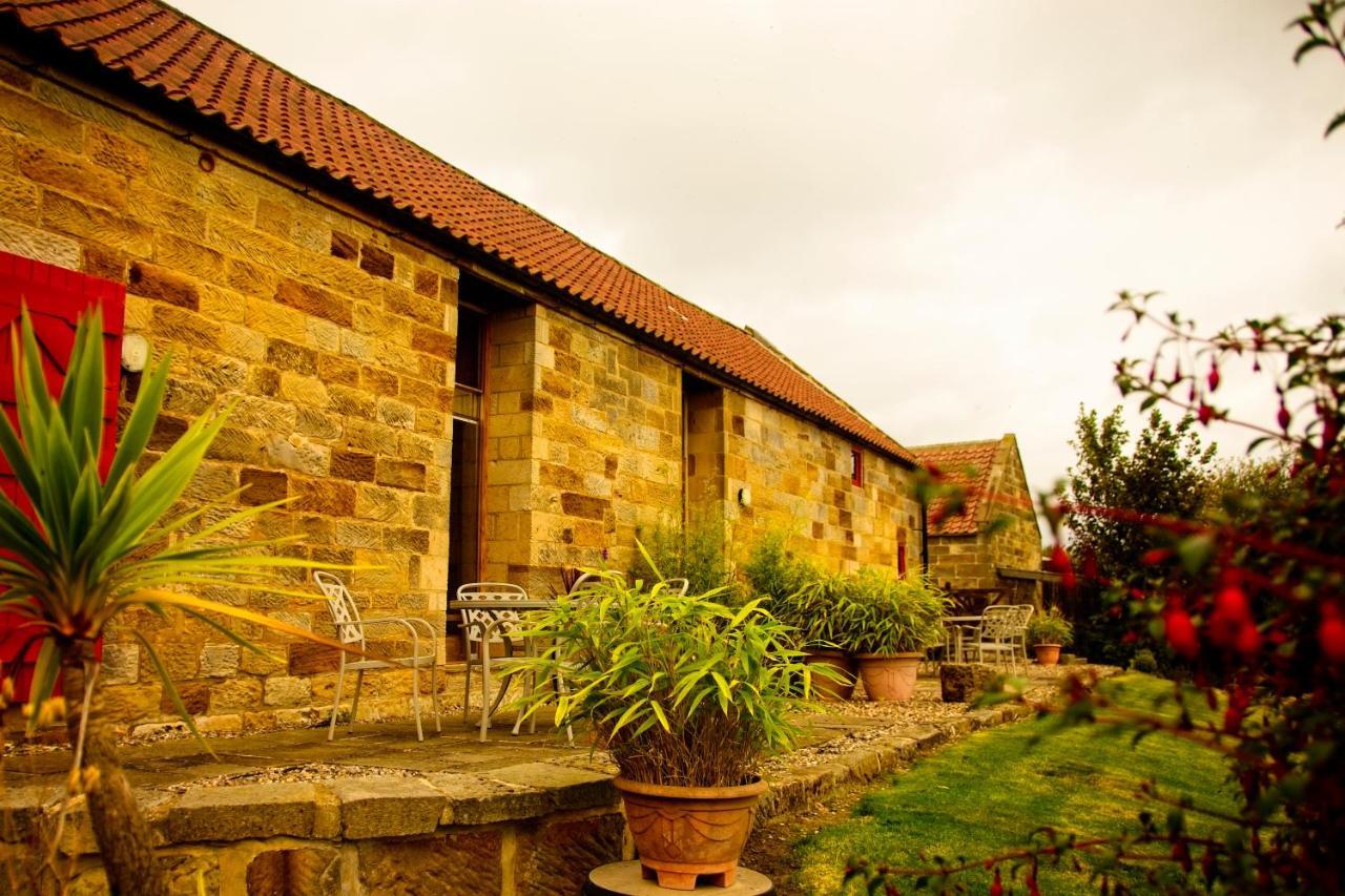 Spangle Cottage, Borrowby Farm Cottages Staithes Luaran gambar